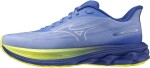 Běžecké boty Mizuno WAVE SKYRISE 7 J1GD260921 Velikost obuvi v EU: 42