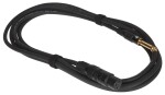 Bespeco EAJXF300