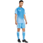 Adidas Tiro 25 Competition Jersey Brankářský dres s krátkým rukávem M JI9715 pánské L