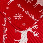 Vánoční deka se soby Šířka: 170 cm | Délka: 210 cm