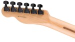Fender LE American Professional II Sandblasted Telecaster HH EB SMT