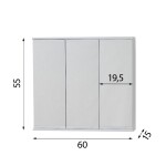 HOPA - Závěsná skříňka se zrcadlem TRIGA I, II - Rozměr A - 60 cm, Rozměr B - 15 cm, Rozměr C - 55 cm OLNPST6055