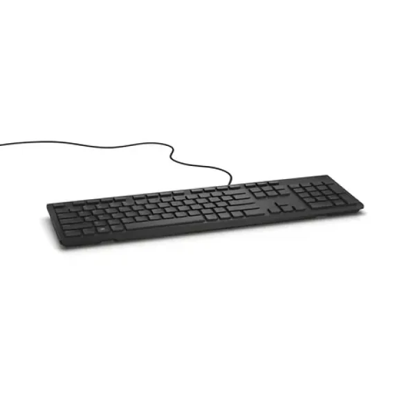 DELL KB-216 EE černá / Multimediální klávesnice / EE / QWERTY / USB (580-ADHG)
