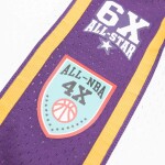Mitchell & Ness Pánský dres Los Angeles Lakers NBA Pau Gasol #16 HOF 2001-19 Swingman Velikost: M
