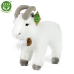 Eco-Friendly 20 cm