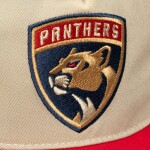 Mitchell & Ness Pánská kšiltovka Florida Panthers NHL Retro Roots Deadstock