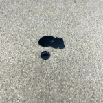 Pinarna.cz Good days start with cat and coffee / Dobré dny začínají s kočkou a kávou