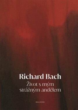 Život s mým strážným andělem - Richard David Bach