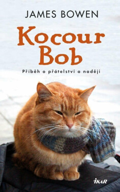 Kocour Bob (poškozená) - James Bowen