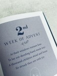 Kniha Festive - Recipes for Advent, modrá barva, papír