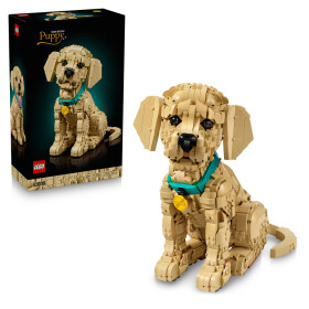 LEGO LEGO® Icons 11384 Štěně zlatého retrívra