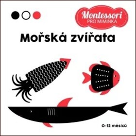 Montessori pro miminka: Mořská zvířata