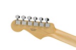 Fender Standard Stratocaster MN CC