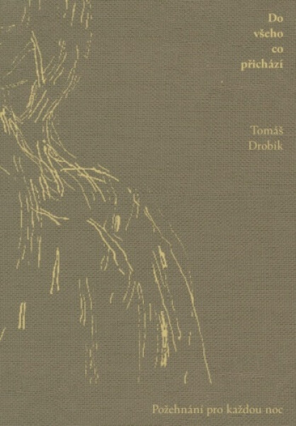 Do všeho co přichází - Jindra Viková, Tomáš Drobík
