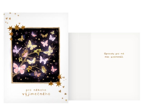 Přání k narozeninám motýli Přání k narozeninám motýli