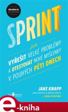 Sprint. Jak vyřešit velké problémy a otestovat nové myšlenky v pouhých pěti dnech - Jake Knapp, John Zeratsky, Braden Kowitz e-kniha