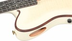 Ibanez TOD100FMN TMM