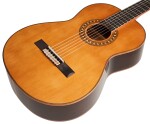 Tanglewood EM D3