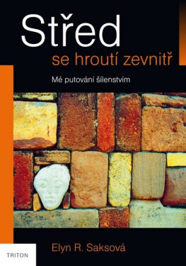 Střed se hroutí zevnitř - Mé putování šílenstvím - Elyn Saks