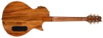 ESP LTD TL-6FM AQMB
