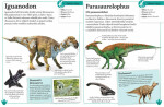 Dinosauři prehistorický život