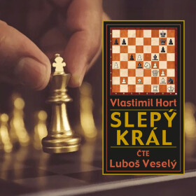 Slepý král - Vlastimil Hort - audiokniha