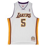Mitchell & Ness Pánský dres Los Angeles Lakers NBA Robert Horry #5 2002-03 Swingman Velikost: M