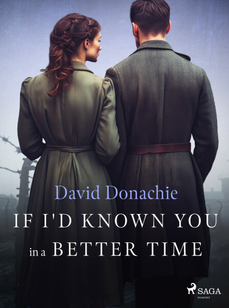 If I'd Known You in a Better Time - David Donachie