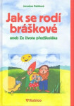 Jak se rodí bráškové aneb Ze života předškoláka - Jaroslava Paštiková