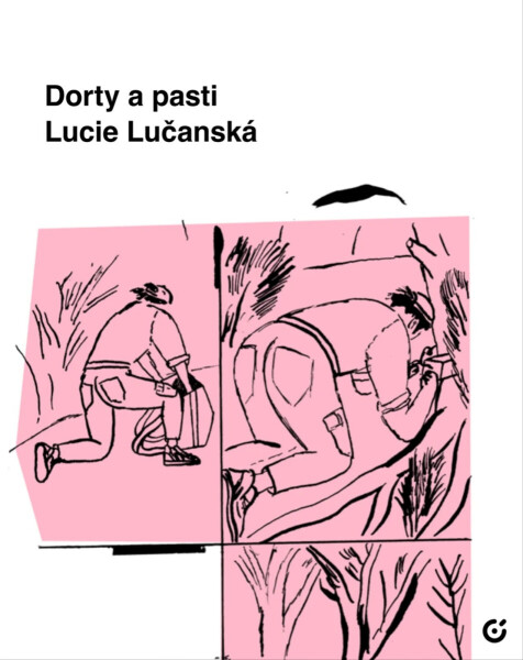 Dorty a pasti - Lucie Lučanská