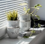 Bella Rose Porcelánový obal na květináč Nejsem suchar 10 cm, bílá barva, zlatá barva, porcelán