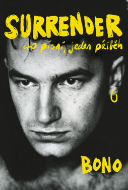 Surrender: 40 písní, jeden příběh - Bono - e-kniha