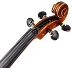 Bacio Instruments AVA100S