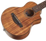 Ibanez EWP12EWB-OPN