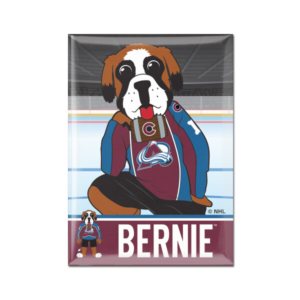Wincraft Magnet Colorado Avalanche NHL Metal Magnet MASCOT