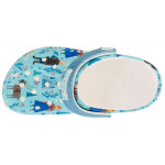 Žabky Crocs Frozen Baya Clog Jr 210352-90H 28/29