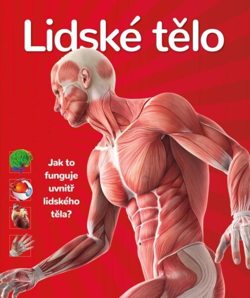 Lidské tělo