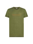 ICEBREAKER Mens Merino 150 Tech Lite SS Tee IBCoordinates, Sphagnum velikost: XL