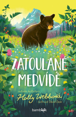 Zatoulané medvídě - Holly Webb