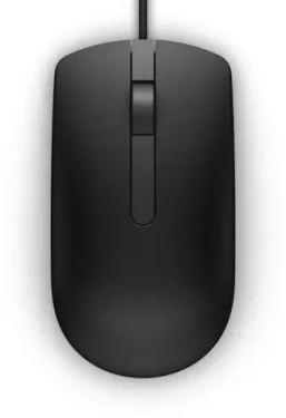 DELL MS116 černá / Optická myš / 1000dpi / 2 tlačítka + rolovací kolečko / USB / 1.8 m (JCKG1)
