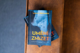 Umění zmizet - Sarah Pekkanen