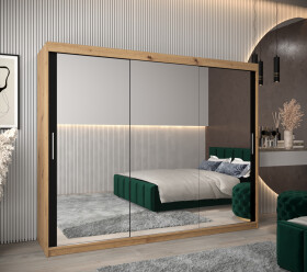 Šatní skříň Abi T3 Barva korpusu: Dub artisan, Rozměry: 250 cm, Dveře: Černá
