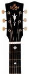 Sigma Guitars SLR-SG00