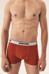 PÁNSKÉ BOXERKY SWITCH 2 PAK 42590 SS25 VÍCEBAREVNÝ 2XL