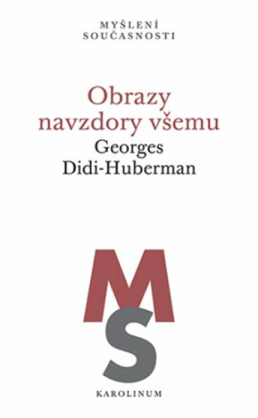 Obrazy navzdory všemu - Georges Didi-Huberman