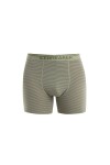 Pánské merino boxerky ICEBREAKER Mens Anatomica Boxers, Lichen/Loden velikost: S
