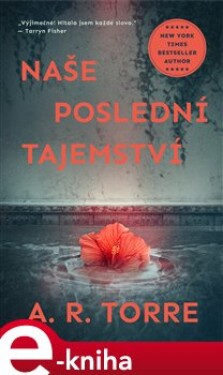 Naše poslední tajemství - Alessandra Torre e-kniha