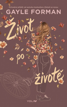 Život po životě - Gayle Formanová