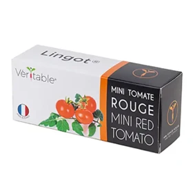 Véritable LINGOT SE SEMENY CHERRY RAJČAT PRO CHYTRÉ KVĚTINÁČE