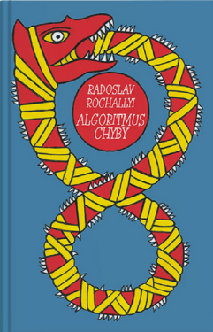 Algoritmus chyby - Radoslav Rochallyi